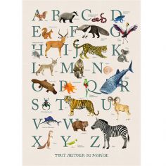 Affiche Abécédaire animaux (50 x 70 cm) - Moulin Roty