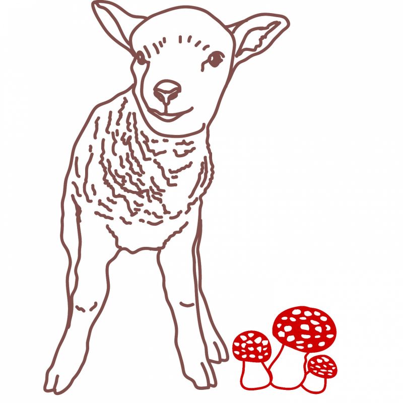 Sticker mural petit mouton chocolat (70 x 53 cm) Mimi'lou
