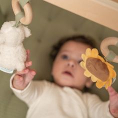 Arche en bois Little Farm