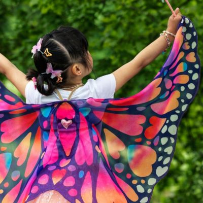 Ailes Papillon (85 cm)