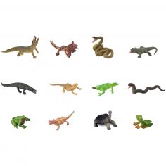 Set de 12 Reptiles et Amphibiens (11,5 x 15 cm)