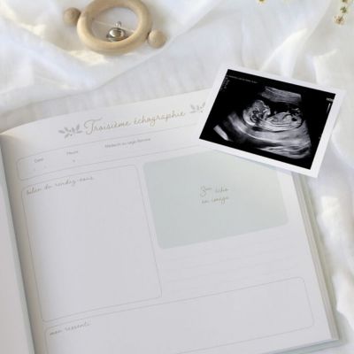 BOX: Journal de grossesse, livre de naissance & carnet de liaison