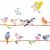Variation Multicolore du produit Frise adhésive sticker Branche d'oiseaux (5 m) de la marque Mimi'lou