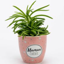 Mini pot Maman chérie (7 cm)  par Amadeus Les Petits