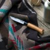 Couteau adulte n°08 Chêne Black  par Opinel