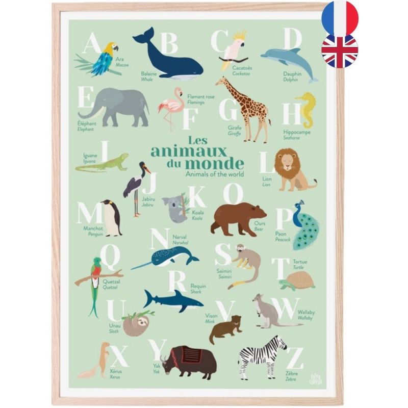 Abécédaire des animaux du monde bilingue fond vert (A3) Papier curieux