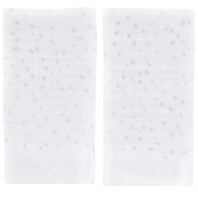 Lot de 2 mini langes Issie Lovely reverie (40 x 40 cm) aden + anais