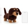Peluche Otto le teckel (18 cm) Jellycat Produit 4
