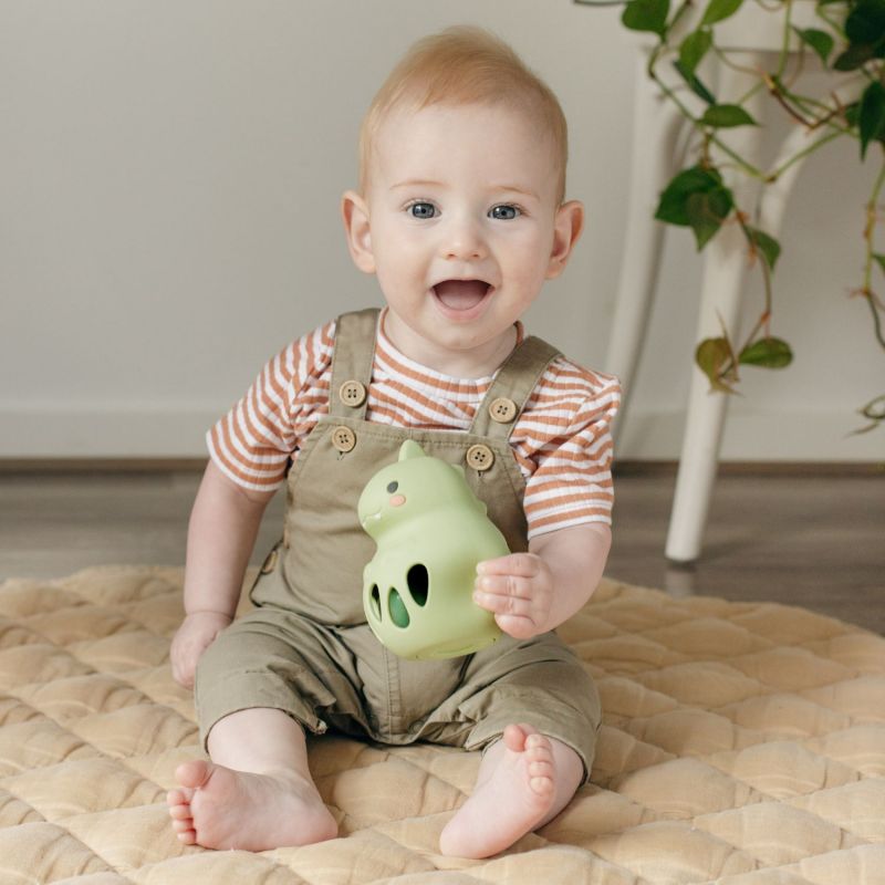 Hochet et anneau de dentition en silicone Dino Tiger Tribe Ambiance 6