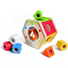 Trieur de formes en bois - Hape