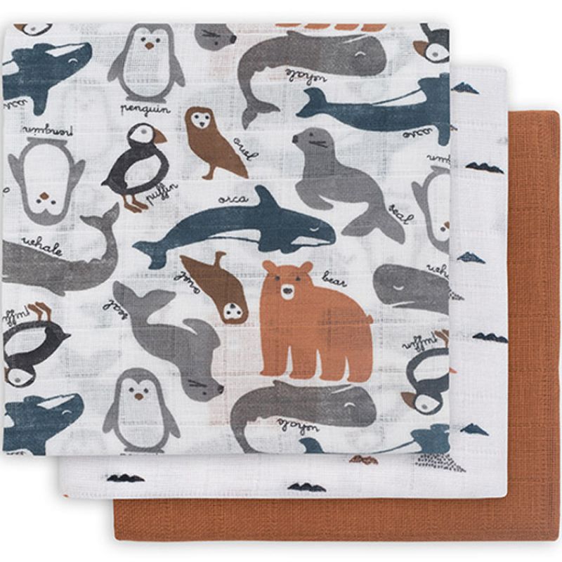 Lot de 3 langes hydrophiles Polar (70 x 70 cm) Jollein