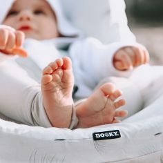 Housse de siège auto groupe 0+ Dandelion