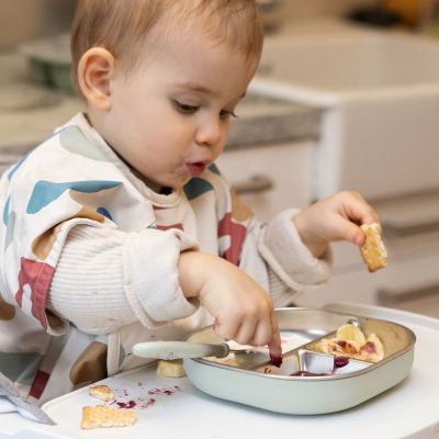 Assiette compartimentée inox Vert de gris