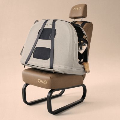 Caisse de transport pour animaux de compagnie CRISPIN L MERLE (jusqu'à 27,2 kg)
