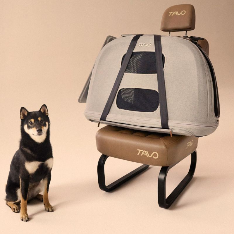Caisse de transport pour animaux de compagnie CRISPIN L MERLE (jusqu'à 27,2 kg) Tavo Ambiance 9