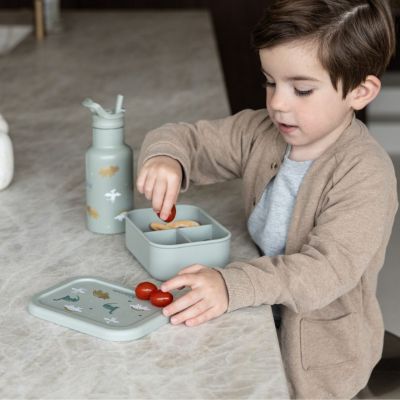 Lunch box 3 compartiments en silicone Dino vert