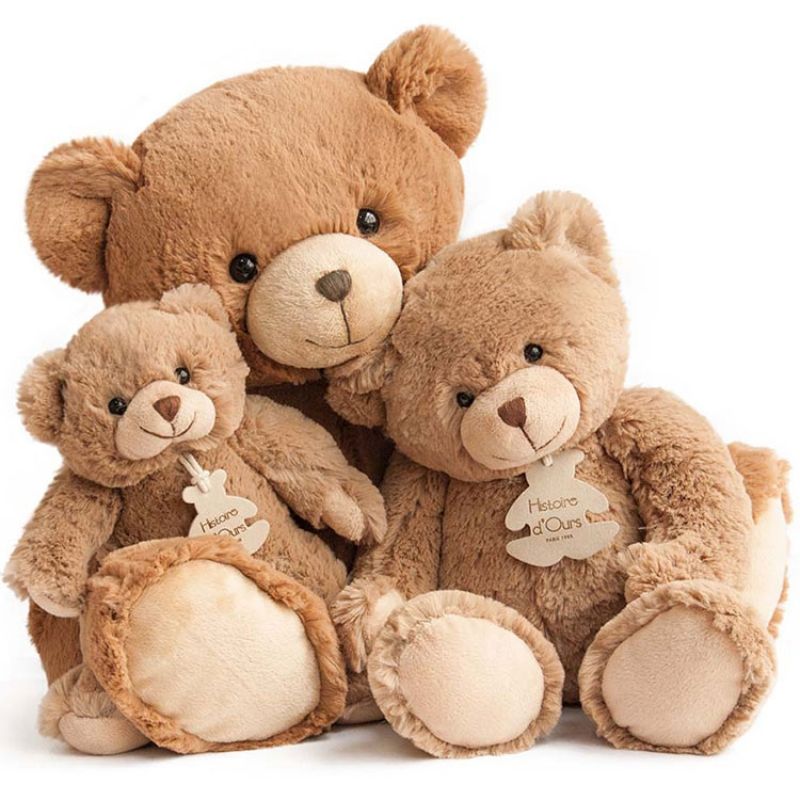 Image d'ambiance de présentation du produit Coffret peluche Calin'ours Les Ours marron (25 cm) - Histoire d'Ours