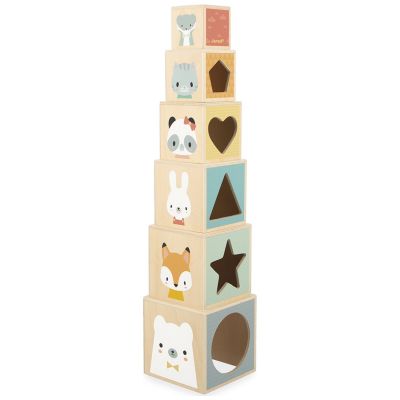 Cubes à empiler Pure (6 pièces) Janod