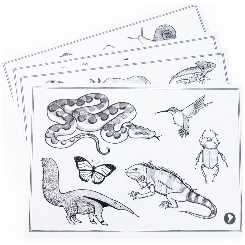 Tablette lumineuse Kidywolf Tout autour du monde Moulin Roty Produit 9