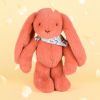 Peluche Lapin Fleurette Terracotta (35 cm) Doudou et Compagnie Ambiance 2
