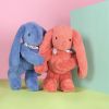 Peluche Lapin Fleurette Terracotta (35 cm) Doudou et Compagnie Ambiance 9