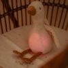 Peluche musicale et lumineuse Oie Newborn Little Dutch Ambiance 7