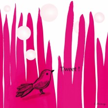 Tableau Tweet magenta by Lola Gavarry (40 x 40 cm)  par Lilipinso