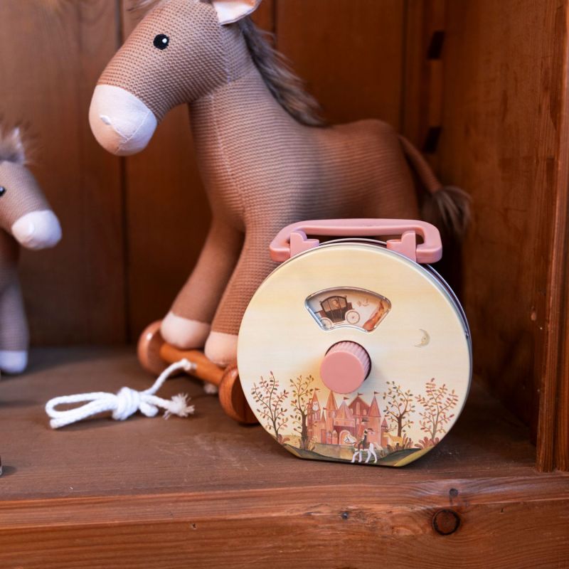 Boîte à musique Princesse Egmont Toys Ambiance 5