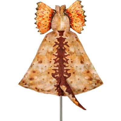 Cape de déguisement dinosaure (4-7 ans)