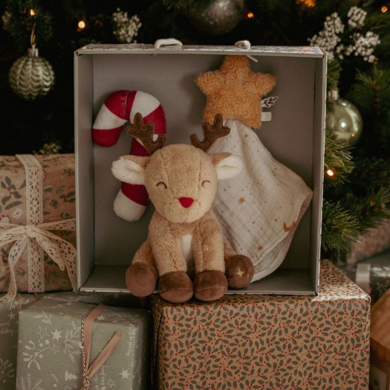 Coffret cadeau Noël Little Dutch Ambiance 6