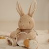 Peluche d'activités Lapin Newborn Little Dutch Produit 3