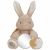 Variation Beige du produit Peluche d'activités Lapin Newborn de la marque Little Dutch