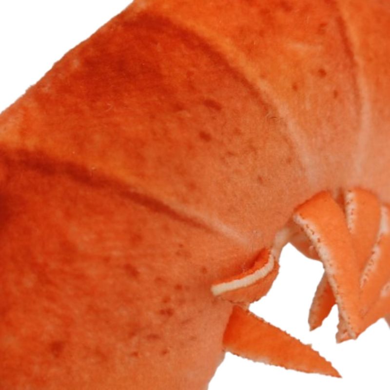Peluche Barbecue Langouste (30 cm) Bazuuyu Produit 4