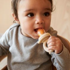 GRIGNOTEUSE BEBE TÉTINE FRUIT - Sweet-feeder™ – Clinique des Enfants