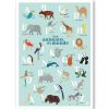 Abécédaire des animaux du monde fond bleu (A3) - Papier Curieux