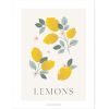 Affiche citrons Lemons (30 x 40 cm) - Lilipinso