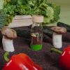 Bouteille sensorielle Learn bottle Veggies  par Petit Boum
