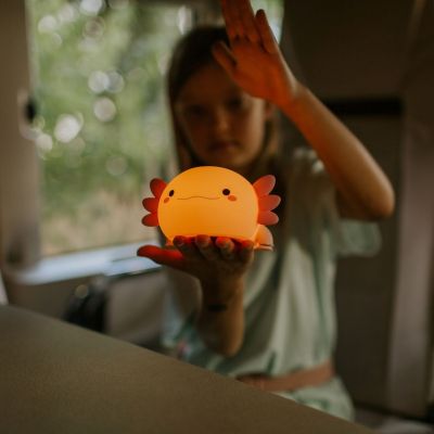 Veilleuse rechargeable Axolotl Pink