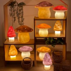 Petite lampe veilleuse champignon Chocolat