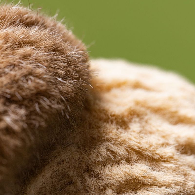 Peluche Amuseable Cacahuète en yeti (15 cm) Jellycat Ambiance 7