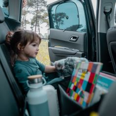 Lot de 2 pare-soleil à ventouse Ezi Sun Stoppers