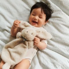 Doudou plat Roy Rabbit Mist