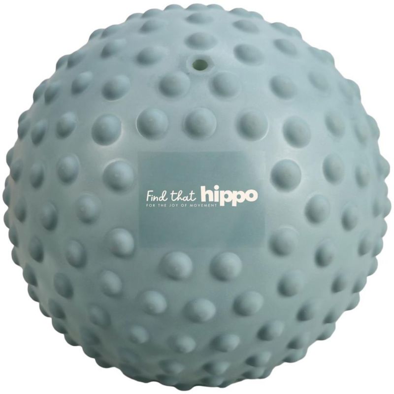 Balle sensorielle Bleu Plomb (22 cm) Find that hippo Produit 1