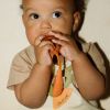 Attache-sucette Cathy The Carrot Oli & Carol Ambiance 5