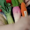 Attache-sucette Cathy The Carrot Oli & Carol Ambiance 7