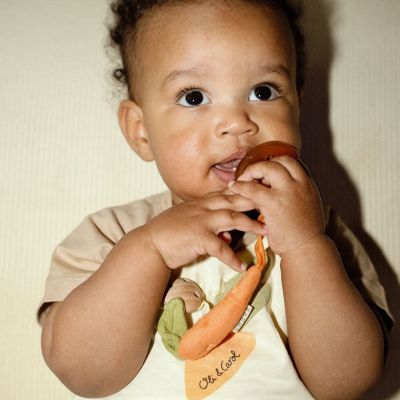 Attache-sucette Cathy The Carrot