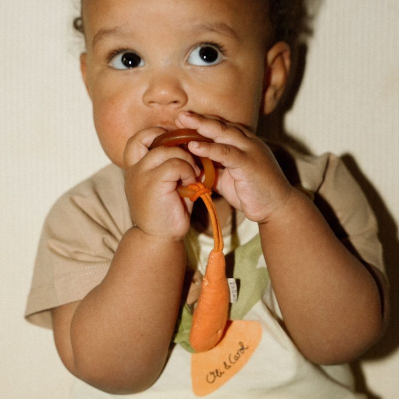 Attache-sucette Cathy The Carrot Oli & Carol Ambiance 5