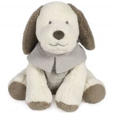 Peluche Chien Sintra Vert - Walking Mum