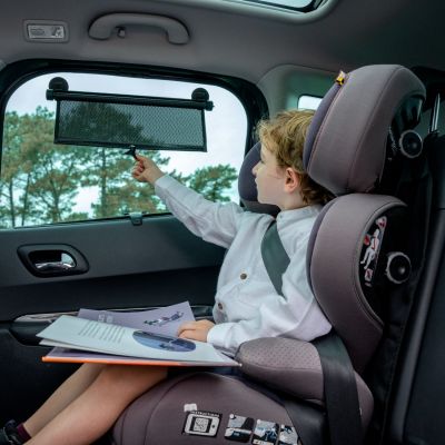 Lot de 2 pare-soleil à ventouse