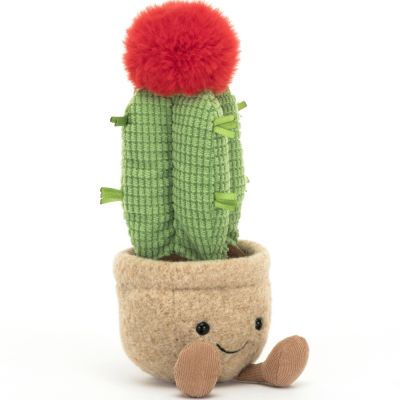 Peluche Amuseable Cactus Lune (21 cm)  par Jellycat